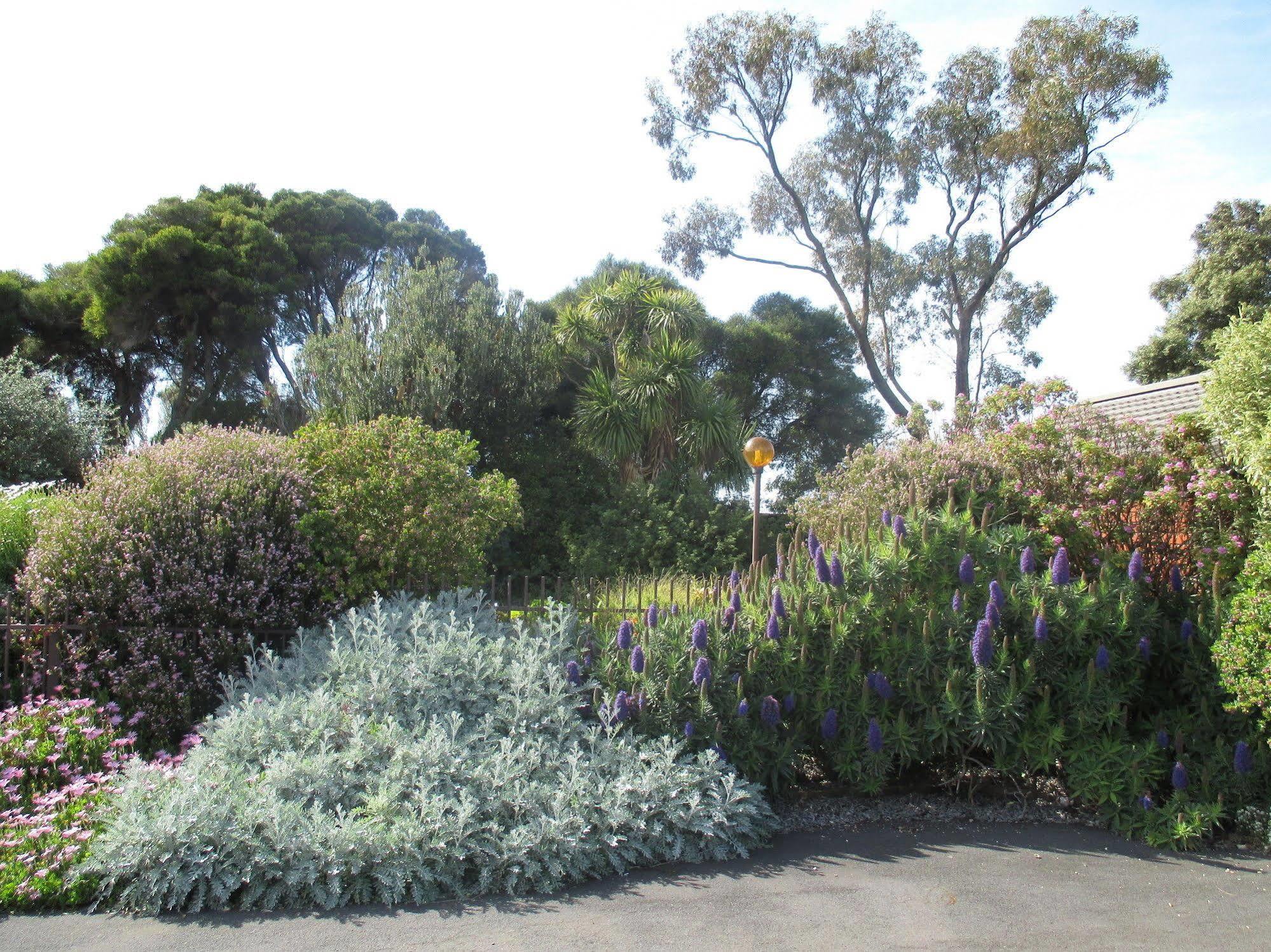 Motel Warrnambool Buitenkant foto